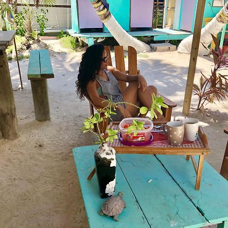 Tropical Oasis Pansiyon Caye Corker Dış mekan fotoğraf