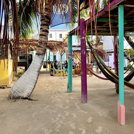 Tropical Oasis Pansiyon Caye Corker Dış mekan fotoğraf