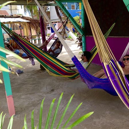 Tropical Oasis Pansiyon Caye Corker Dış mekan fotoğraf