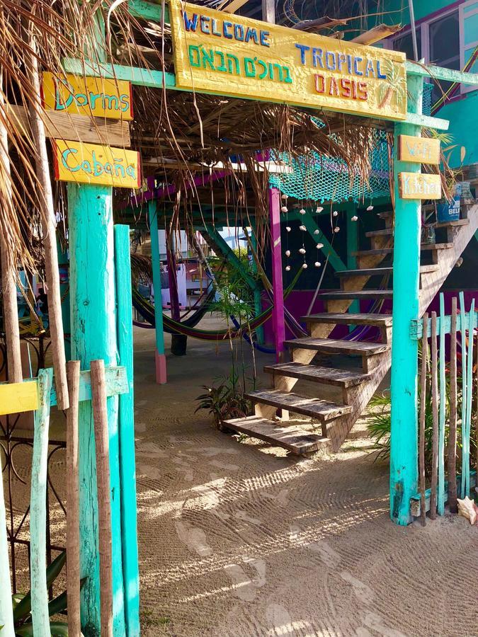 Tropical Oasis Pansiyon Caye Corker Dış mekan fotoğraf