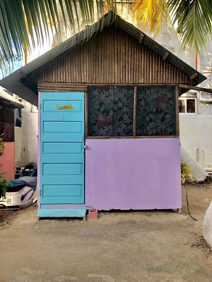 Tropical Oasis Pansiyon Caye Corker Dış mekan fotoğraf