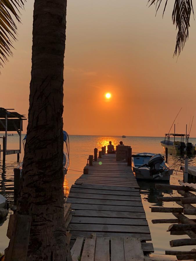 Tropical Oasis Pansiyon Caye Corker Dış mekan fotoğraf
