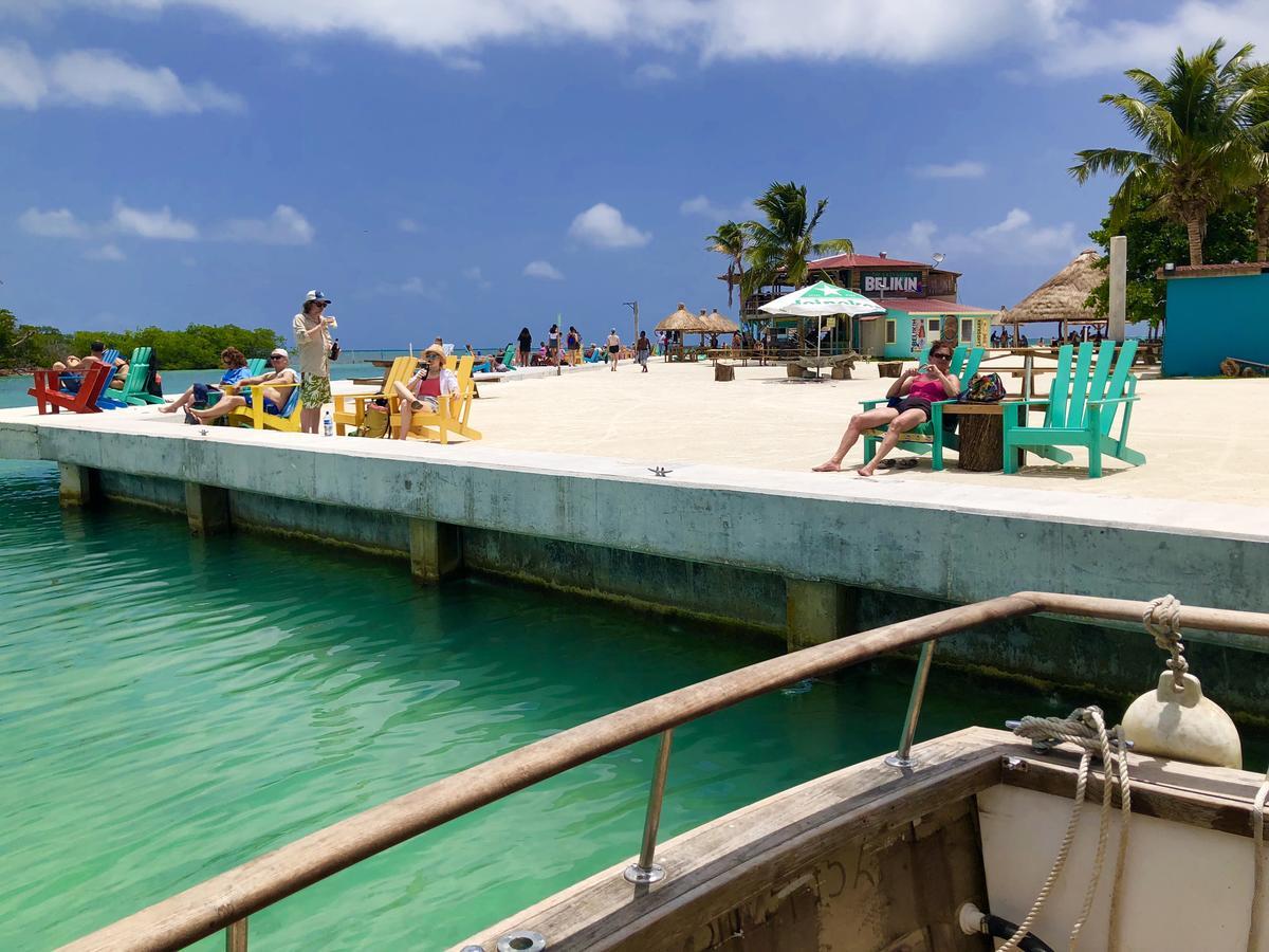 Tropical Oasis Pansiyon Caye Corker Dış mekan fotoğraf