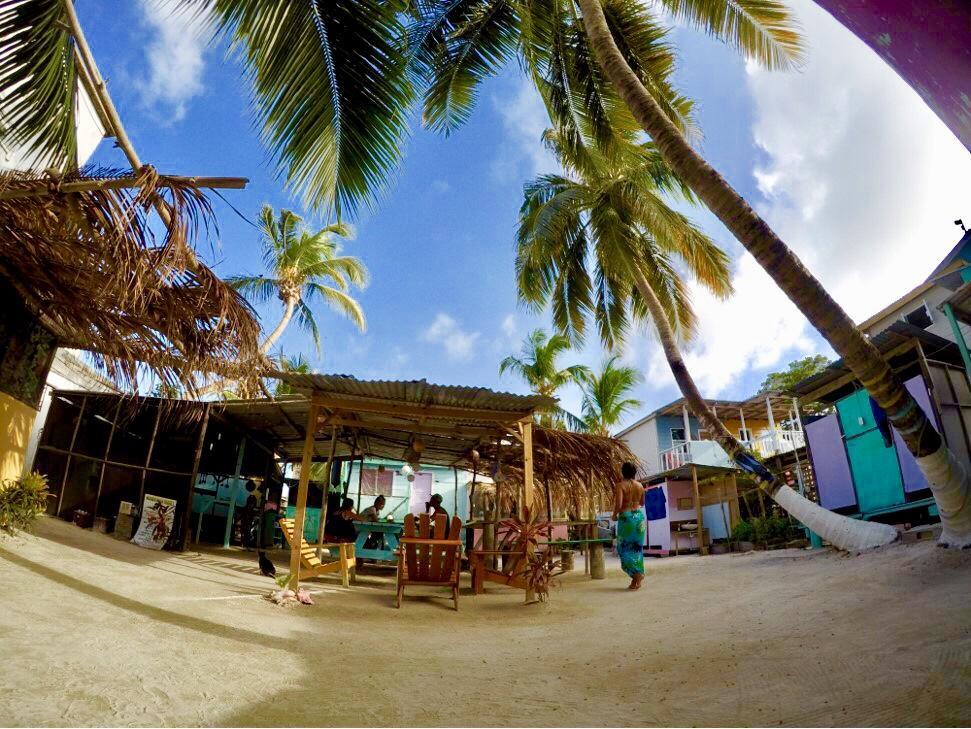 Tropical Oasis Pansiyon Caye Corker Dış mekan fotoğraf